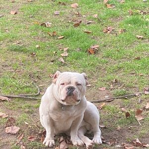 Meet your Posher, Abel